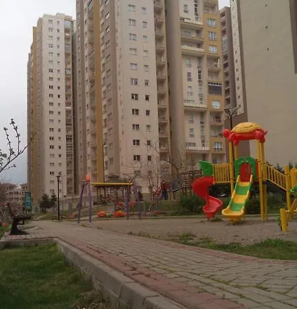 Shamlioglu Furnished 1
